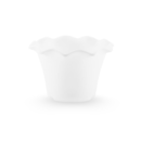 Petalia Planter -1 | Set of 6  (5.5" x 3.75") - White