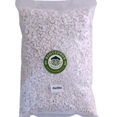 Perlite – Lightweight Soil Aerator & Drainage Booster