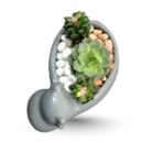 Sandrose or Sunrise and Laxmi Kamal Succulent in Decorative Pot – Elegant Gift Set