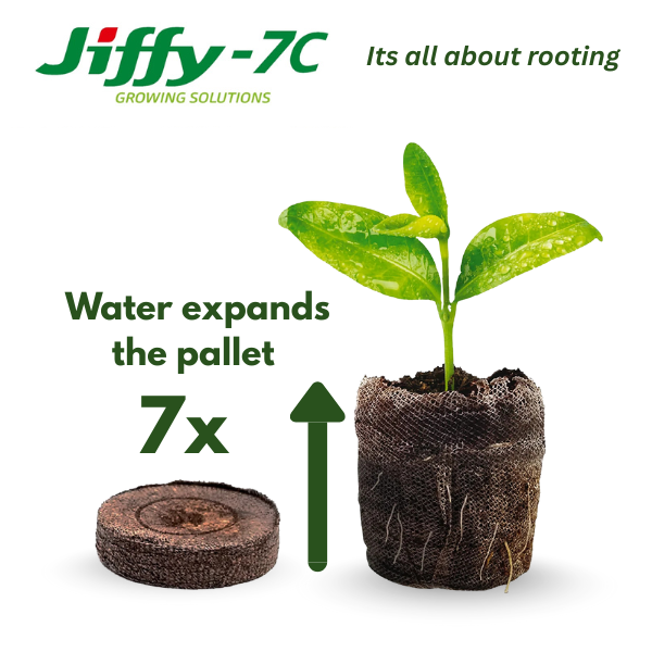 Jiffy 7C Plug 50mm – Professional Seed / Cuttings Starter Plug - Image 3